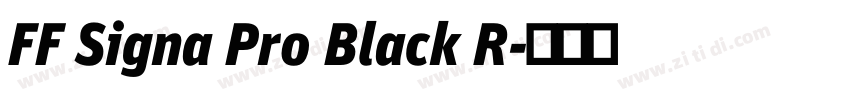 FF Signa Pro Black R字体转换